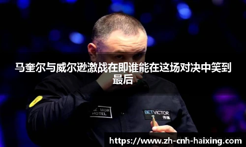 海星体育直播网址