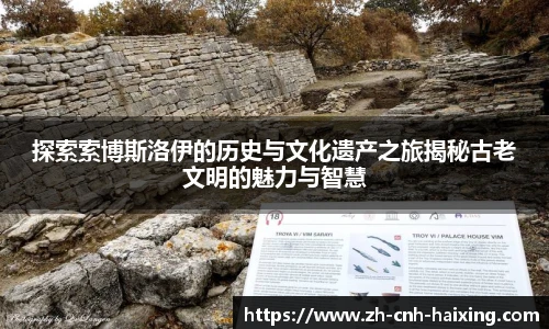 海星体育