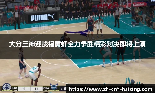 海星体育直播