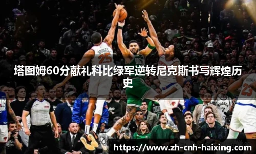海星体育直播